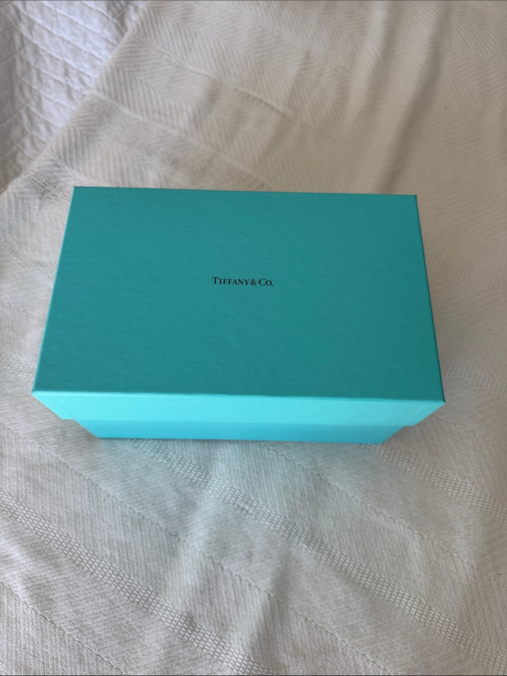 Tiffany & Co. Robin's Egg Blue Gift Box
